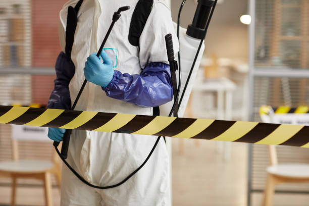 Professional Hoarding Cleanup technician working in Port Jefferson Station, NY